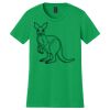 Women's Softstyle Tee Thumbnail
